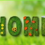 Eco-Friendly Upgrades for a Greener Home