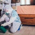Reliable Pest Control Experts