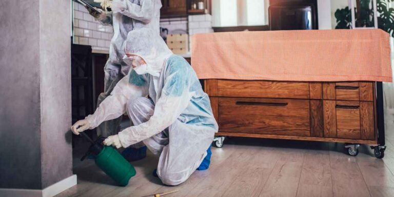Reliable Pest Control Experts