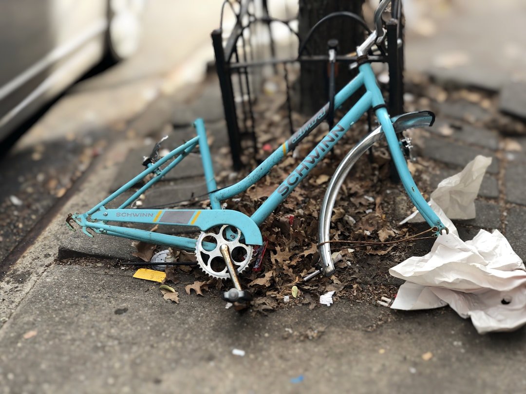 Professional Junk Removal Service