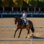 Equestrian Paralympics 2024 2024