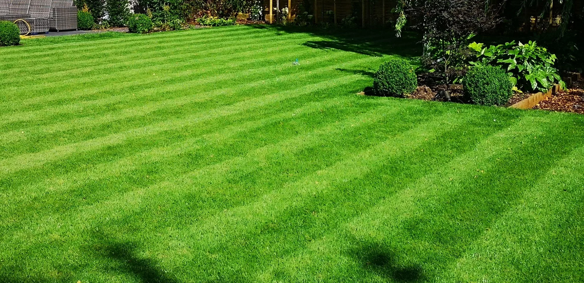 Lawns