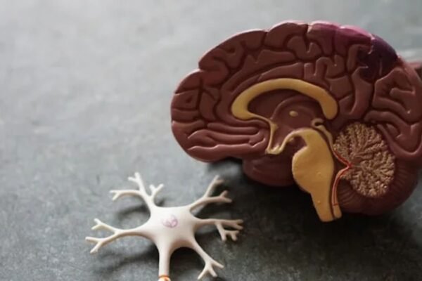 Neurological Conditions