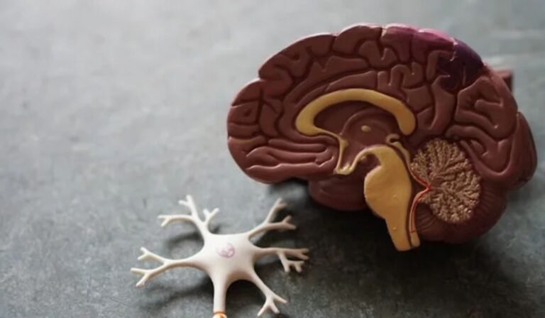 Why Fatigue Is So Common in Neurological Conditions